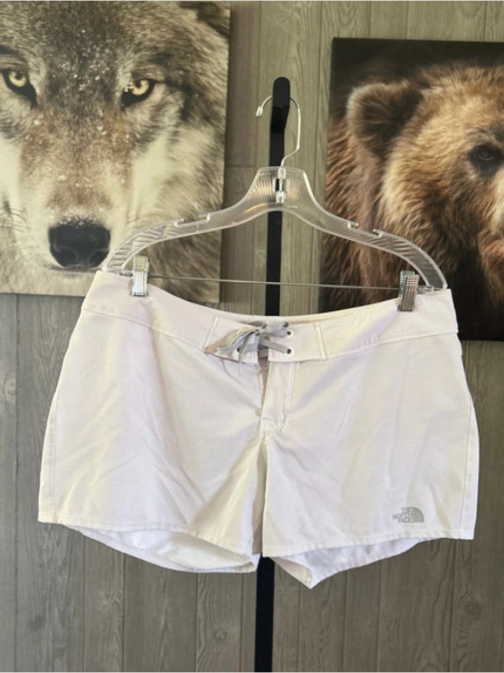 The North Face Shorts